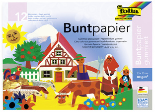 folia Glanzpapier-Bastelheft, 230 x 250 mm, 12 Blatt