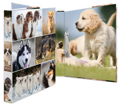 HERMA Ringbuch Animals - Hunde, DIN A4, 2-Ring-Mechanik