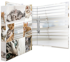 HERMA Ringbuch Animals - Katzen, DIN A4, 2-Ring-Mechanik