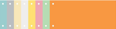 EXACOMPTA Trennstreifen Premium, 105 x 240 mm, chamois