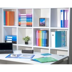 Exacompta 511999E 10er Pack Premium Ringbuch OPAK DIN A4 aus Kunststoff mit 4 Ringen 20 mm breit, farbig sortiert, ideal für Schule und Büro Ringhefter Ringordner Ringbuchordner