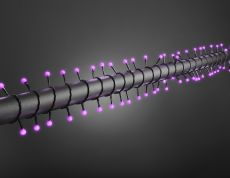 Konstsmide 3691-457 LED Globelichterkette, runde Dioden, 80 purpurfarbene Dioden, 24V Außentrafo, schwarzes Kabel