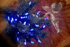 Konstsmide 3602-400 - 40er LED Lichterkette mit blauen Dioden - Innenbreich