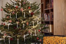 Konstsmide 1170-000 - LED Baumkette slim line, 16 große Topbirnen mit Schalter, 16 warm weiße Dioden, 4.5V Innentrafo, grünes Kabel