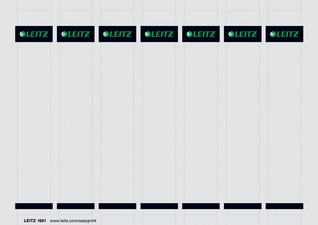 LEITZ Ordnerrücken-Einsteckschild, 31 x 190 mm, Karton, grau