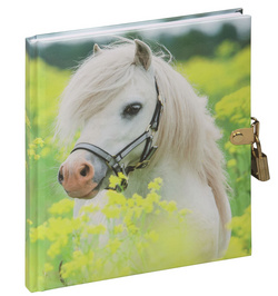 PAGNA Tagebuch Kleines Pony, 128 Blatt