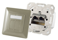 shiverpeaks BASIC-S Anschlussdose Kat. 6A, 2 x RJ45, silber