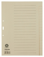 Esselte Tauenpapier-Register, blanko, A4, 20-teilig, chamois