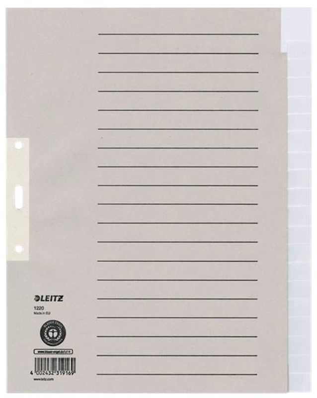 Leitz 1220 Register - Tauenpapier, A4 Überbreite, 20 Blatt, grau