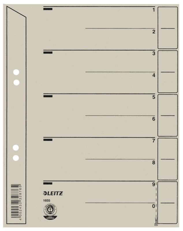 Leitz 1654 Trennblätter - Lochung geöst, Überbreite, A4, grau, 100 Stück