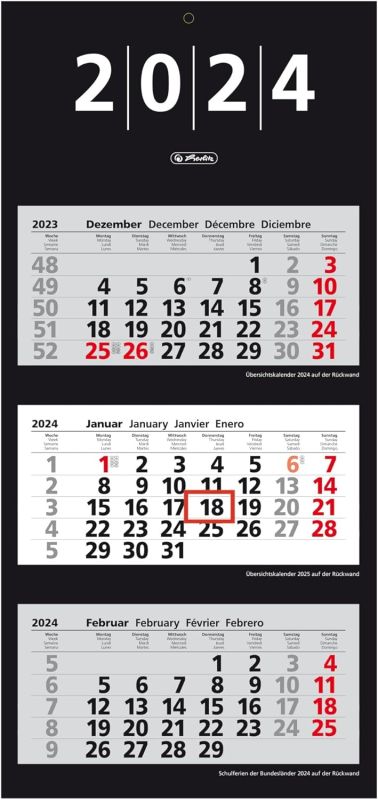Herlitz 3-Monats-Wandkalender 2024, 33x70cm, mit Tagesanzeiger, 4-sprachig, Klein