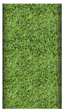 PAPSTAR Motiv-Tischdecke Football, lackiert