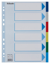 Esselte Kunststoff-Register, blanko, A4, PP, 12-teilig