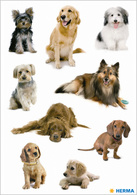 HERMA Sticker DECOR Hundewelpen