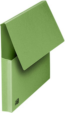 ELBA Dokumententasche, DIN A4, Karton, pastell-grün