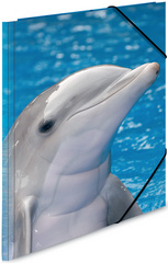 HERMA Eckspannermappe Delfine, aus PP, DIN A4