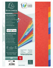 EXACOMPTA Karton-Register, DIN A4, 8-teilig