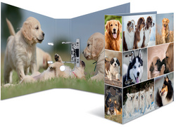 HERMA Motivordner Animals, DIN A4, Hunde