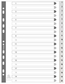 EXACOMPTA Kunststoff-Register, 1-20, A4, 20-teilig
