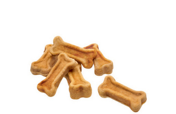 CLATRONIC Dog Cookie Maker DCM 3683, weiß
