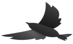 Securit 3D-Wand-Kreidetafel BIRD, schwarz