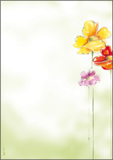 sigel Design-Papier, DIN A4, 90 g/qm, Motiv Flower Harmony