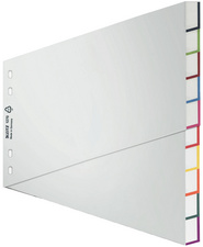LEITZ Kunststoff-Register, blanko, A4 Überbreite, 10-teilig