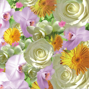 PAPSTAR Motivservietten Springflowers, 330 x 330 mm