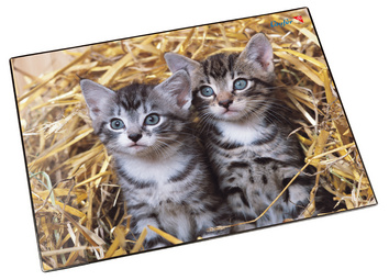 Läufer Schreibunterlage Katzen im Stroh, 400 x 530 mm