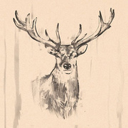 PAPSTAR Motivservietten Deer, 330 x 330 mm, natur